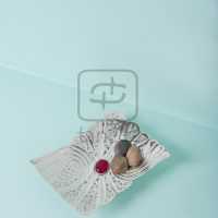Nawaz Cutwork TrayStone Small V (1)