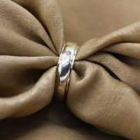 Auch Bands-11 RB1-1 F-002