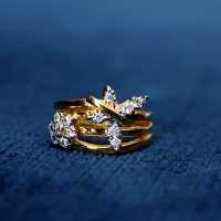 Villejuif Studded Rings (1)