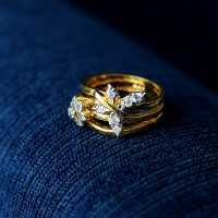 Villejuif Studded Rings (5)