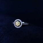 chambry studded ring