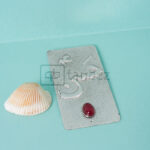 HASSAN-PLATE-PETITE-003