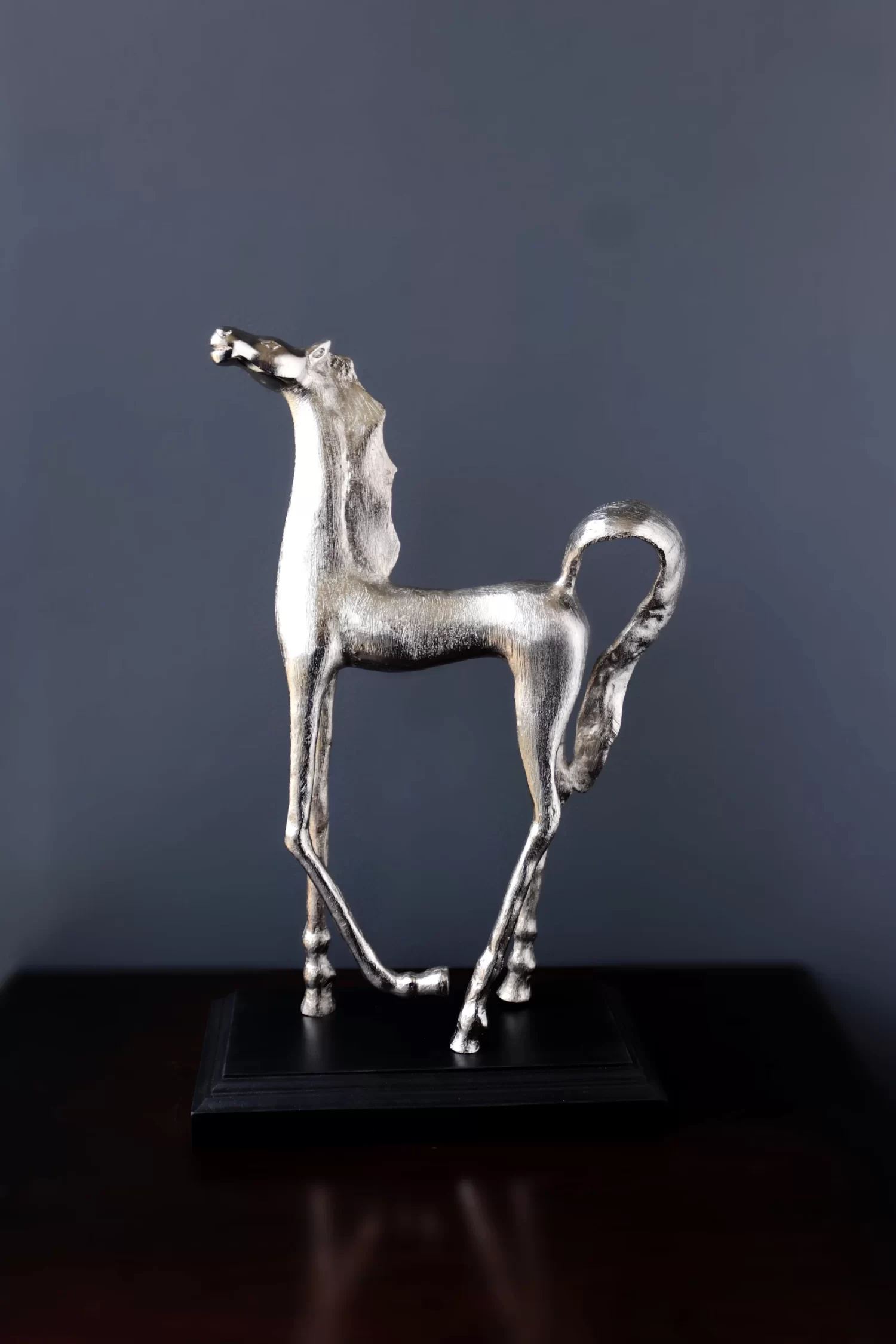 HORSE V2024-005
