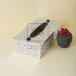 TISSUE-BOX-010-(1)