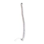 banu-goshasp-bracelet-w-8-bcc-2-a